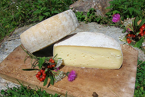 formaggio stagionato di montagna del piemonte